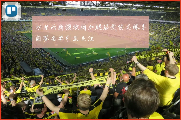 切尔西新援埃梅加腿筋受伤无缘季前赛名单引发关注
