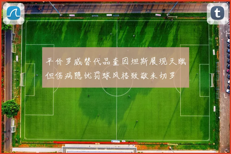 平价罗威替代品奎因坦斯展现天赋但伤病隐忧罚球风格致敬米切罗