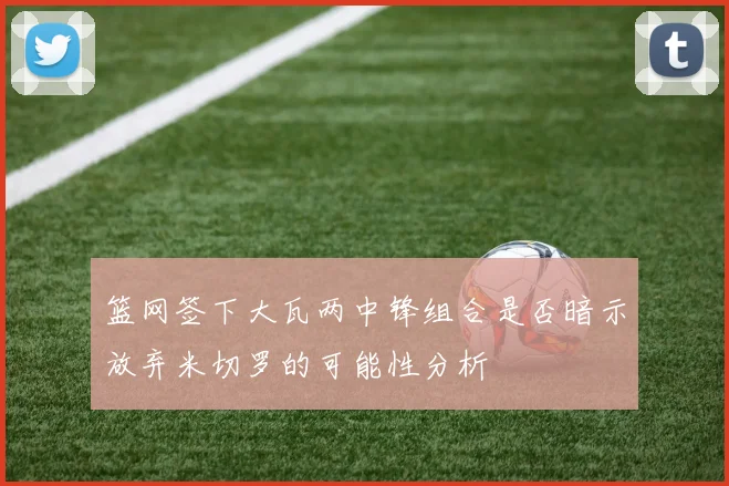 篮网签下大瓦两中锋组合是否暗示放弃米切罗的可能性分析